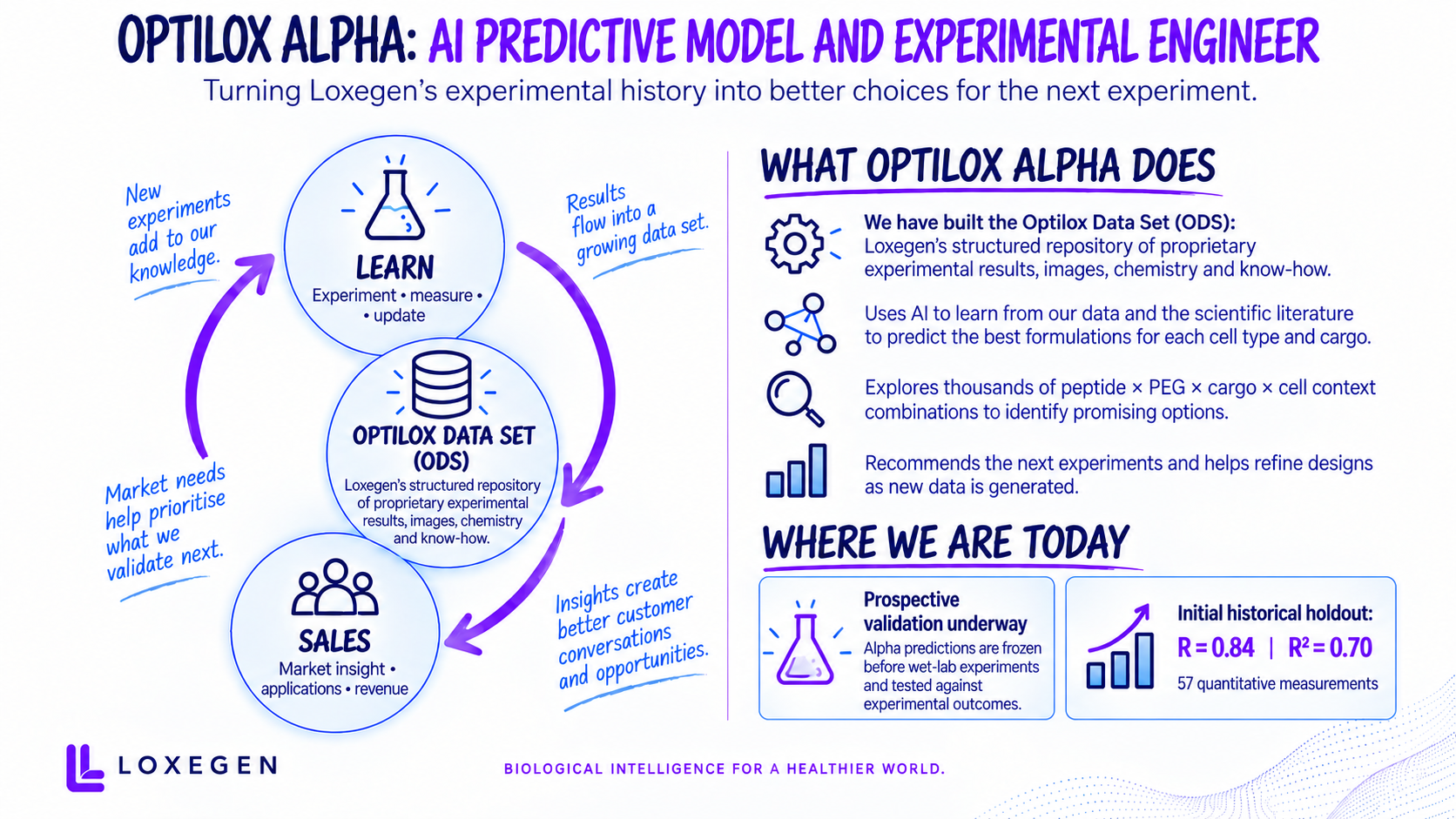 Optilox Alpha AI predictive model and experimental learning system for transfection formulation